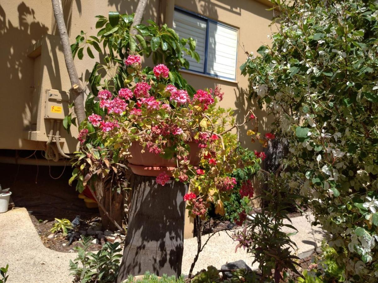 צימר ארבלית - ליד טבריה ו כנרת בגליל ב ארבל Dış mekan fotoğraf